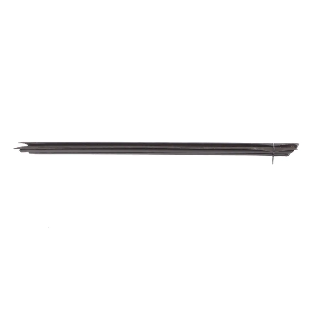 Window Strip BMW X3 G01 X4 G02 Trim Door Front Left N/S Moulding Sealing - SKU 7393417 - Part number 7393417