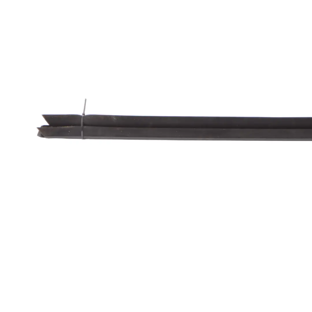  Window Strip BMW X3 G01 X4 G02 Trim Door Front Left N/S Moulding Sealing - SKU 7393417 - Part number 7393417