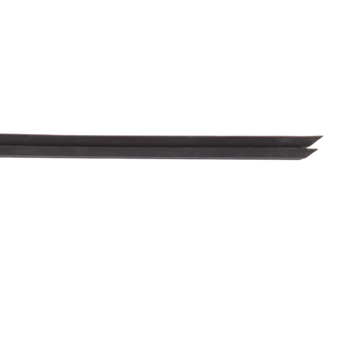  Window Strip BMW X3 G01 X4 G02 Trim Door Front Left N/S Moulding Sealing - SKU 7393417 - Part number 7393417