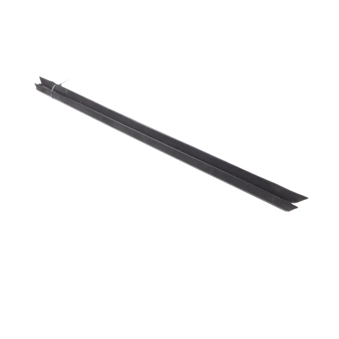 Window Strip BMW X3 G01 X4 G02 Trim Door Front Left N/S Moulding Sealing - SKU 7393417 - Part number 7393417