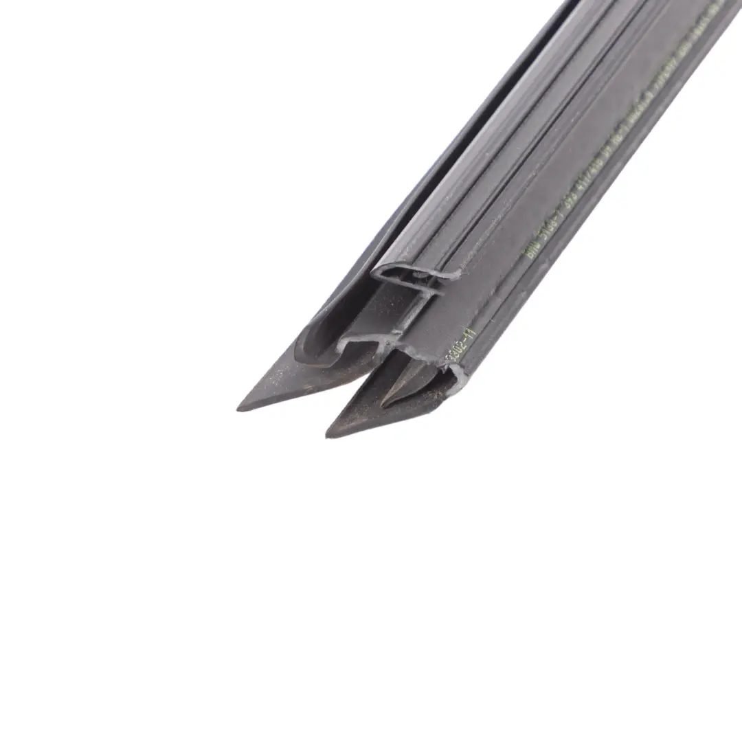  Window Strip BMW X3 G01 X4 G02 Trim Door Front Left N/S Moulding Sealing - SKU 7393417 - Part number 7393417