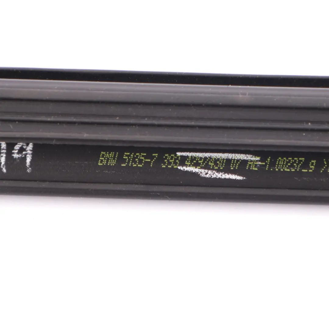BMW X3 G01 X3M F97 Fensterhohlraumdichtung Tür hinten links - SKU 7393429 - Teilenummer 7393429