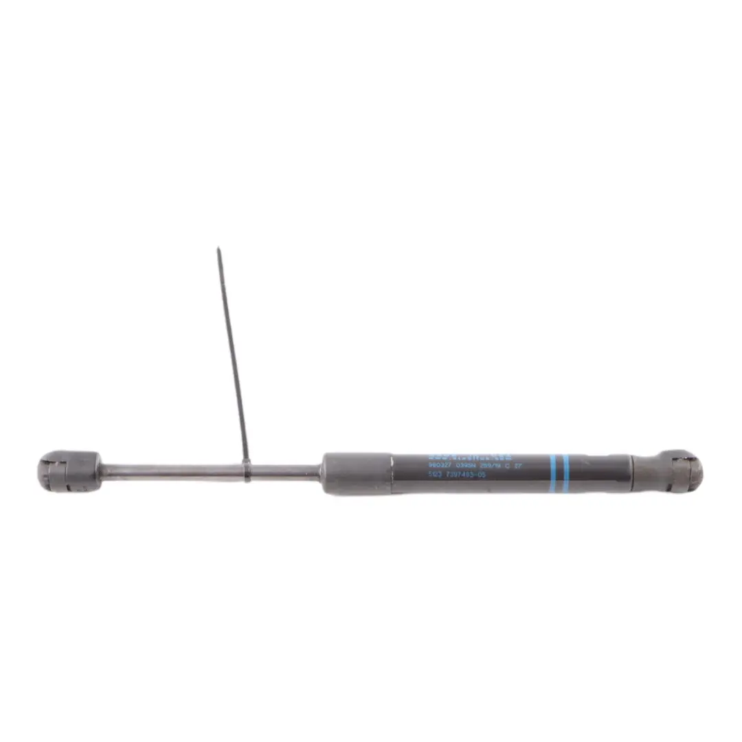  Bonnet Hood BMW X3 G01 F97 X4 G02 F98 Front Right O/S Gas Strut Pair - SKU 7397493 - Part number 7397493