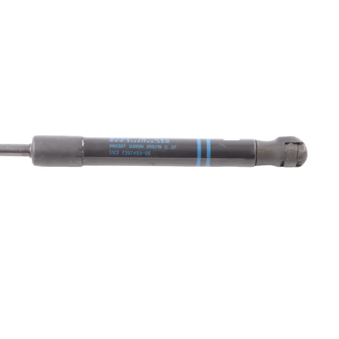  Bonnet Hood BMW X3 G01 F97 X4 G02 F98 Front Right O/S Gas Strut Pair - SKU 7397493 - Part number 7397493