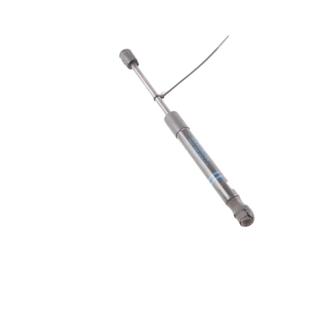  Capó BMW X3 G01 F97 X4 G02 F98 Delantero Derecho Gas - SKU 7397493 - Número de pieza 7397493