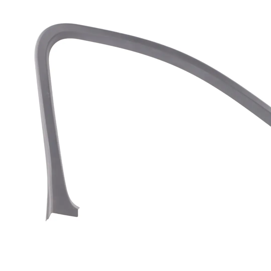 BMW X6 F16 F86 Window Cover Strip Trim Door Front Left N/S Frame Sealing - SKU 7412263 - Part number 7412263
