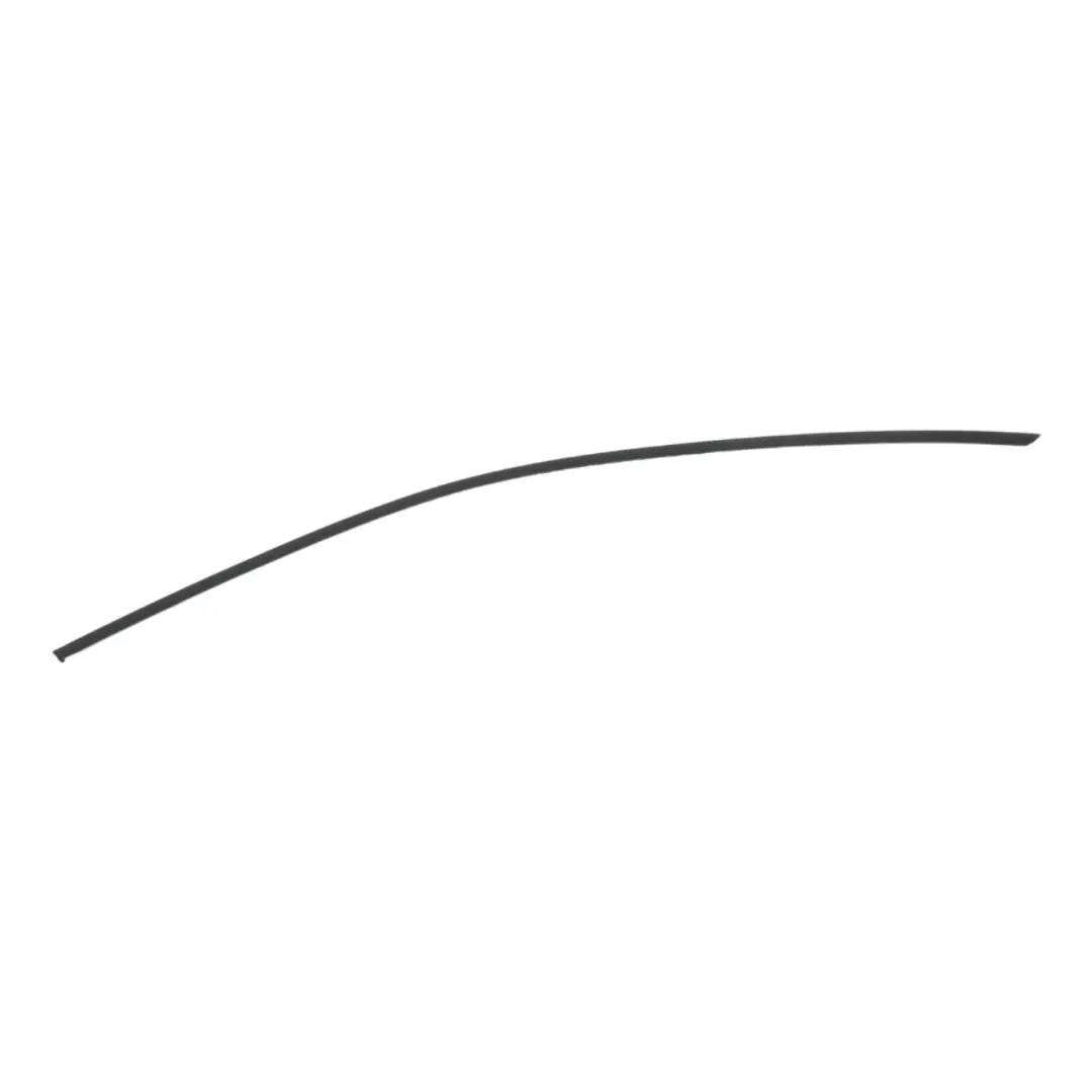 BMW X2 F39 Window Strip Door Trim Molding Front Right O/S Black - SKU 7420812 - Part number 7420812