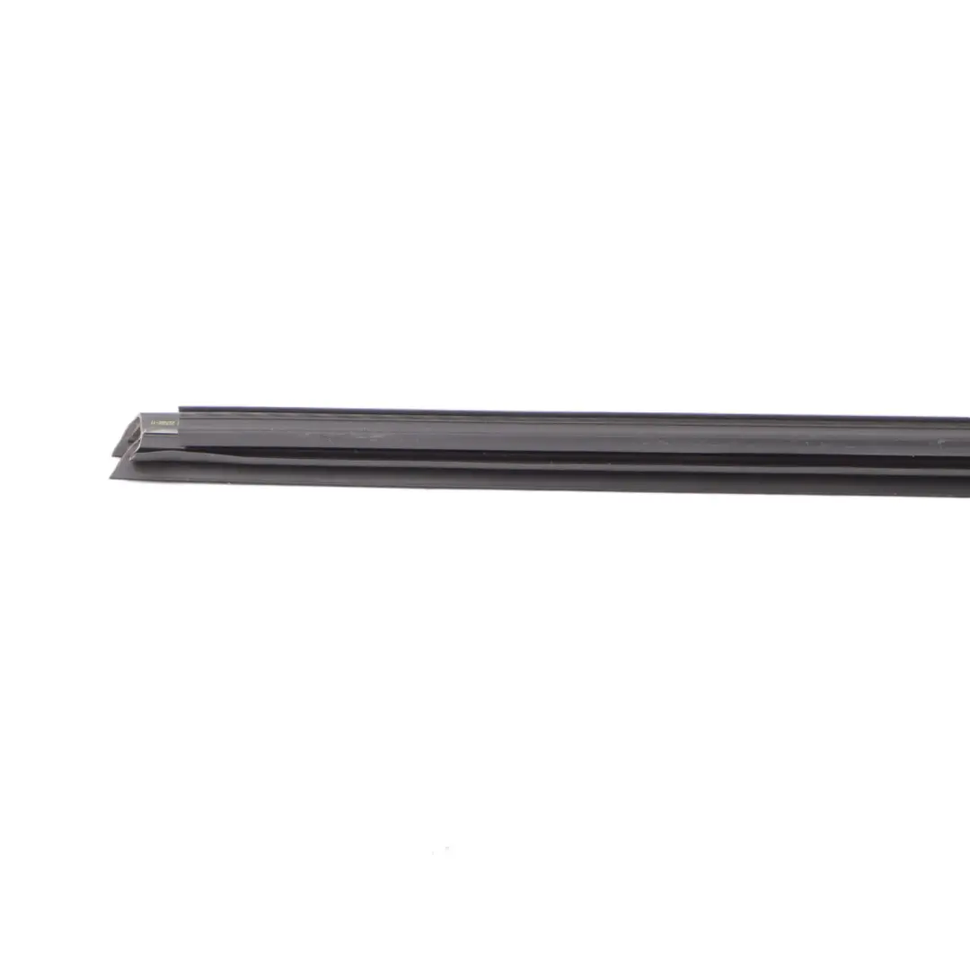 BMW X3 G01 X4 G02 Fensterleiste Verkleidung Tür hinten links Leiste Dichtung - SKU 7433107 - Teilenummer 7433107