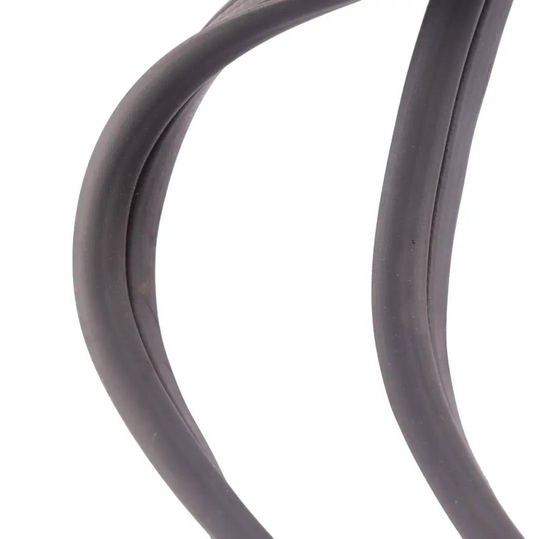  Trunk Guard Mini Clubman F54 Trunk Rear Split Doors Seal 7344213 - SKU 7465031 - Part number 7465031