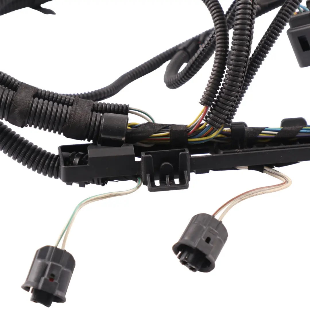 Harness BMW F20 F21 F30 F31 Petrol N13 Sensor Module 1 Wiring to Engine with Part number 7607975 Engine Harness BMW F20 F21 F30 F31 Petrol N13 Sensor Module 1 Wiring - SKU 7607975 - Part number 7607975