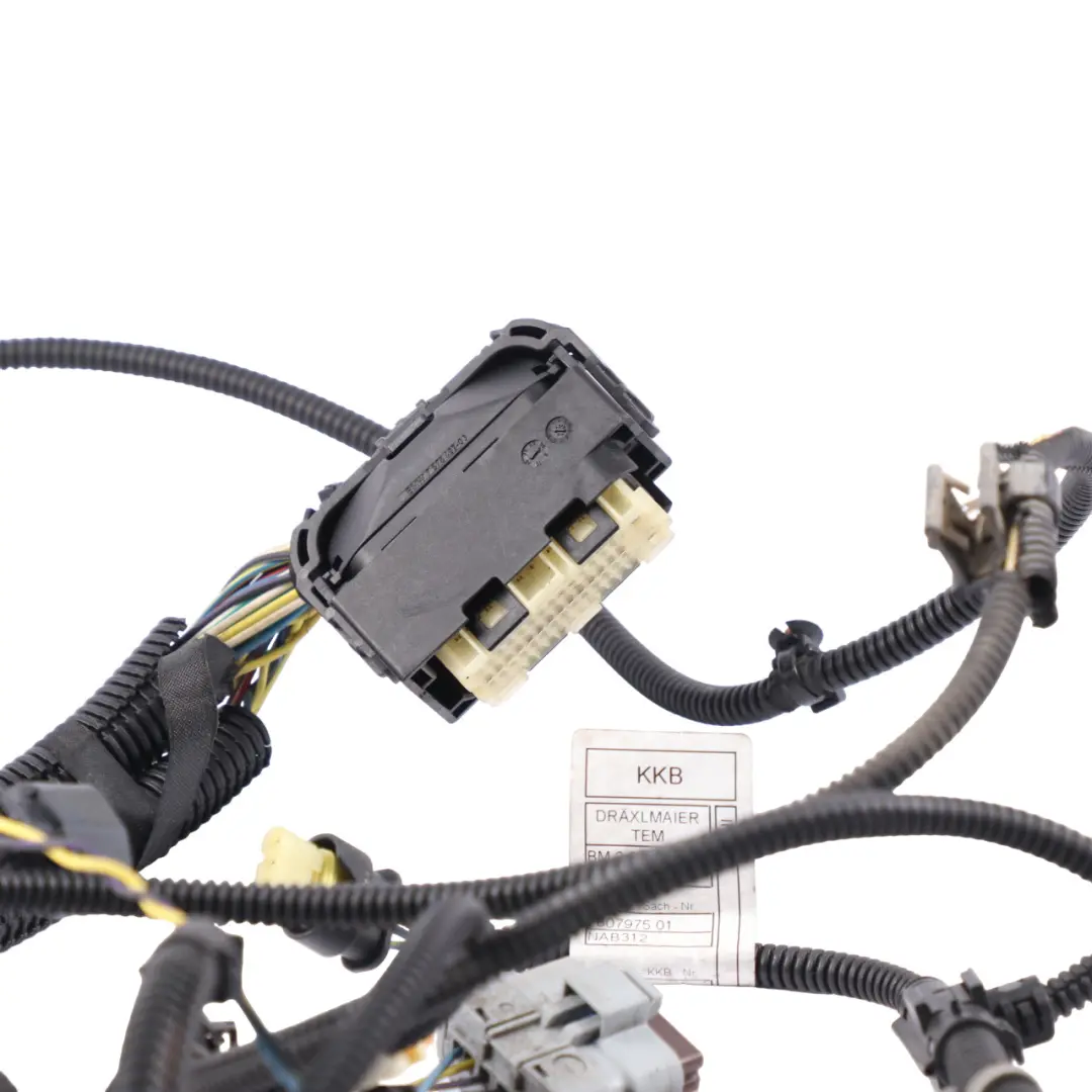 Harness BMW F20 F21 F30 F31 Petrol N13 Sensor Module 1 Wiring to Engine with Part number 7607975 Engine Harness BMW F20 F21 F30 F31 Petrol N13 Sensor Module 1 Wiring - SKU 7607975 - Part number 7607975
