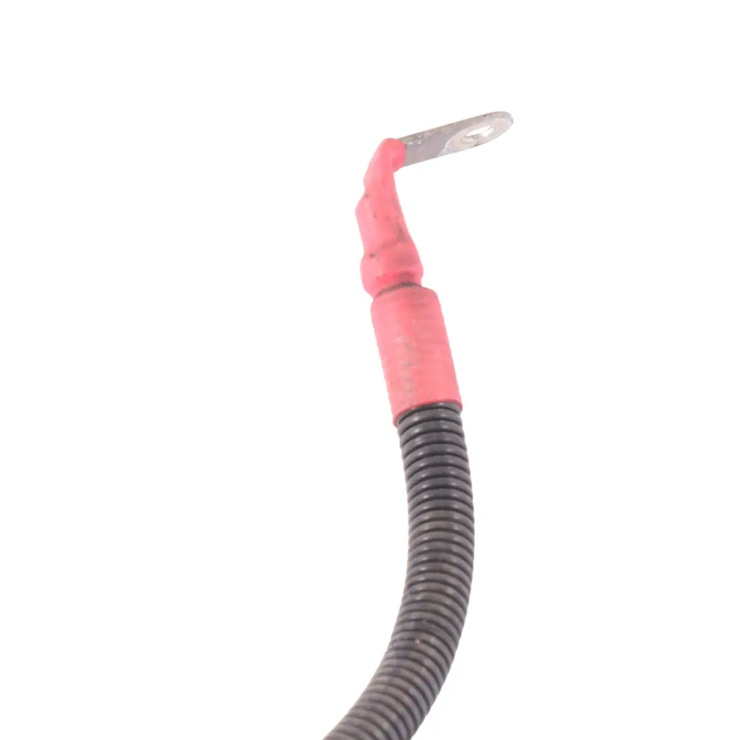 BMW X1 F84 Starter Wiring Battery Alternator Cable Harness Loom - SKU 7624621 - Part number 7624621