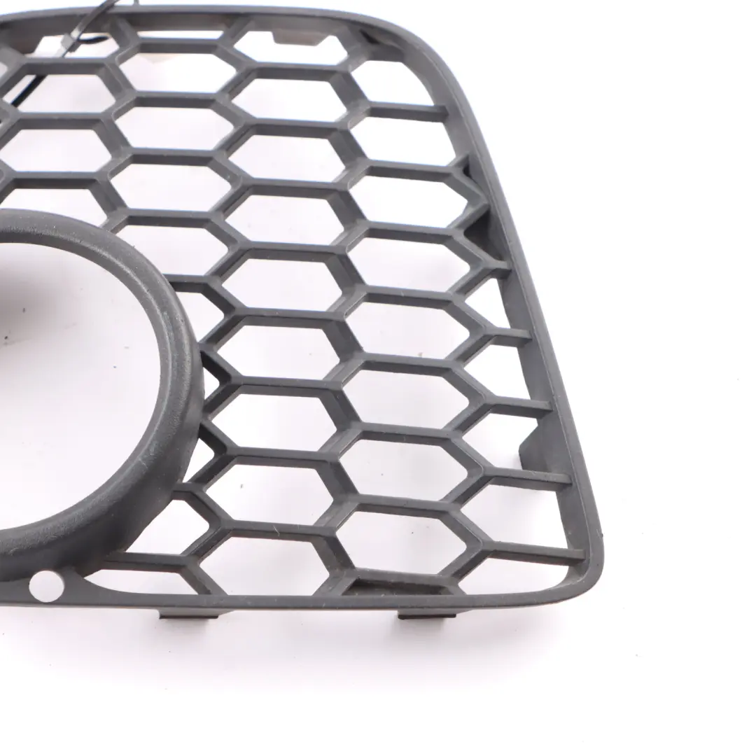 Front Left N/S Fog Light Lamp Bumper Grille Trim Panel Cover to BMW X5 E70 with Part number 8047343 BMW X5 E70 Front Left N/S Fog Light Lamp Bumper Grille Trim Panel Cover - SKU 8047343 - Part number 8047343