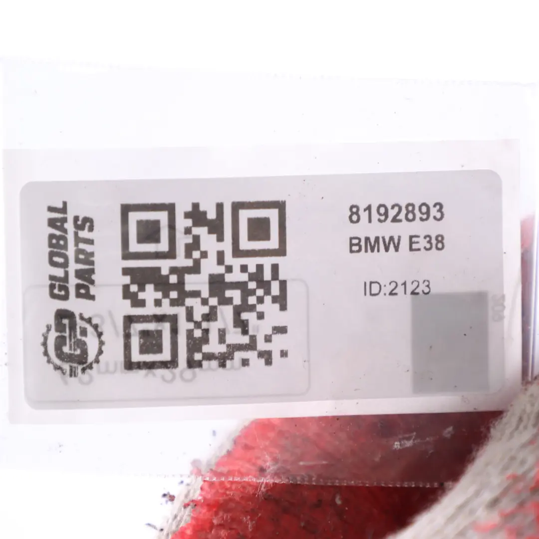  Freno porta BMW E34 E39 Porta posteriore sinistra Cerniera Limitatore - SKU 8192893 - Numero di parte 8192893