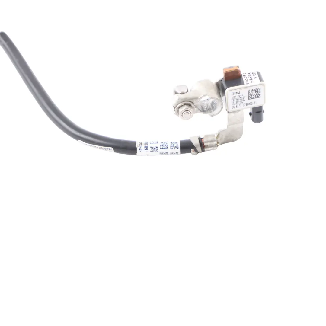Battery Lead Pole Negative Cable IBS Sensor to BMW F98 with Part number 8736083 BMW F98 Battery Lead Pole Negative Cable IBS Sensor - SKU 8736083 - Part number 8736083