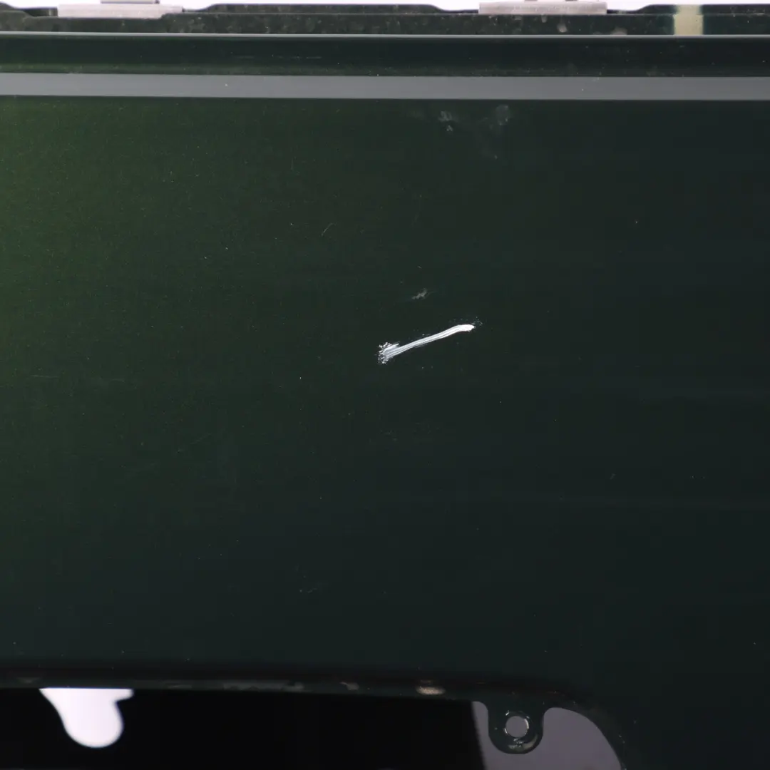 BMW G26 Door Front Right O/S San Remo Green Metallic - C4E - SKU 9625096-SAG - Part number 9625096