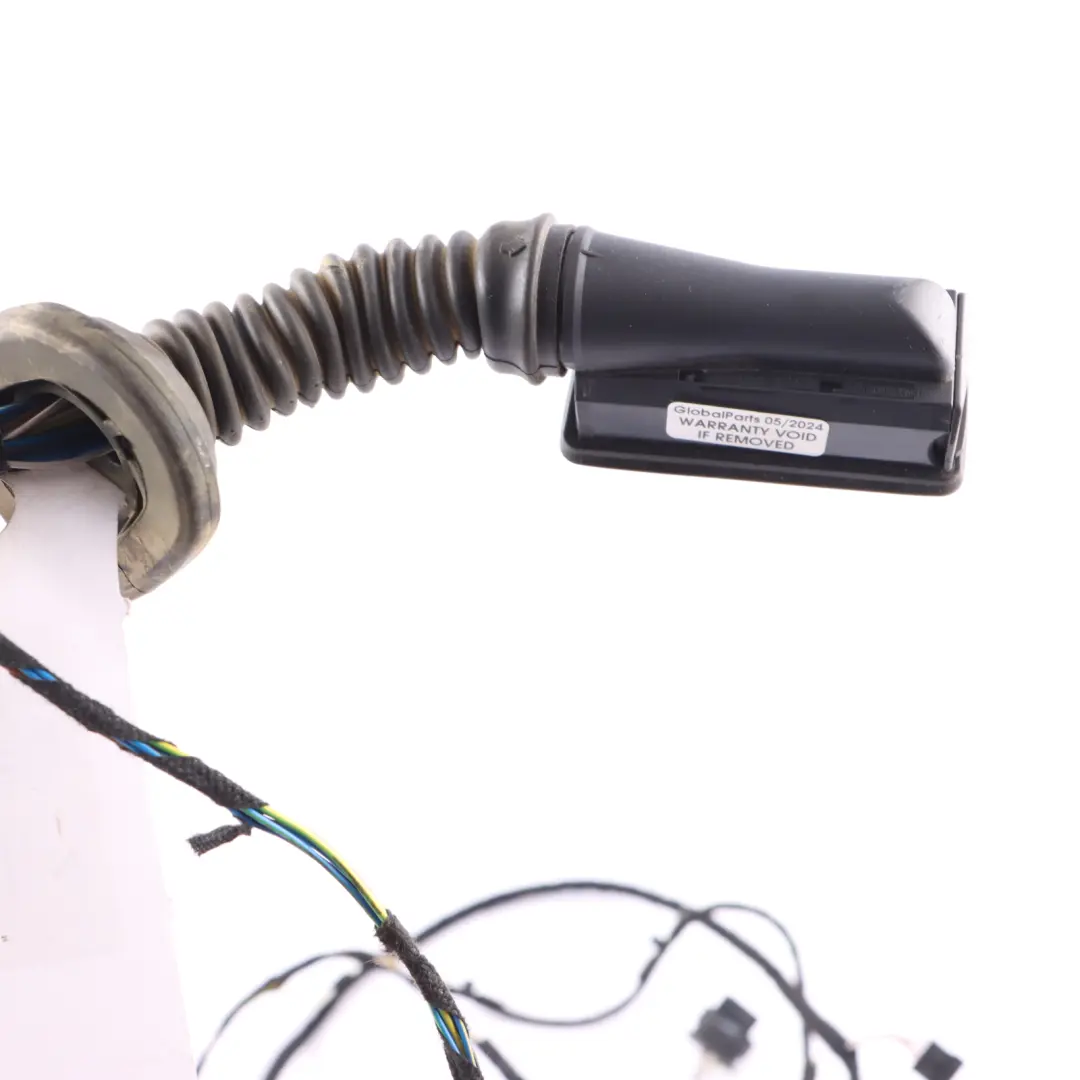 Puerta Delantera Cableado Mazo Mini F55 - SKU 9865645 - Número de pieza 9865645