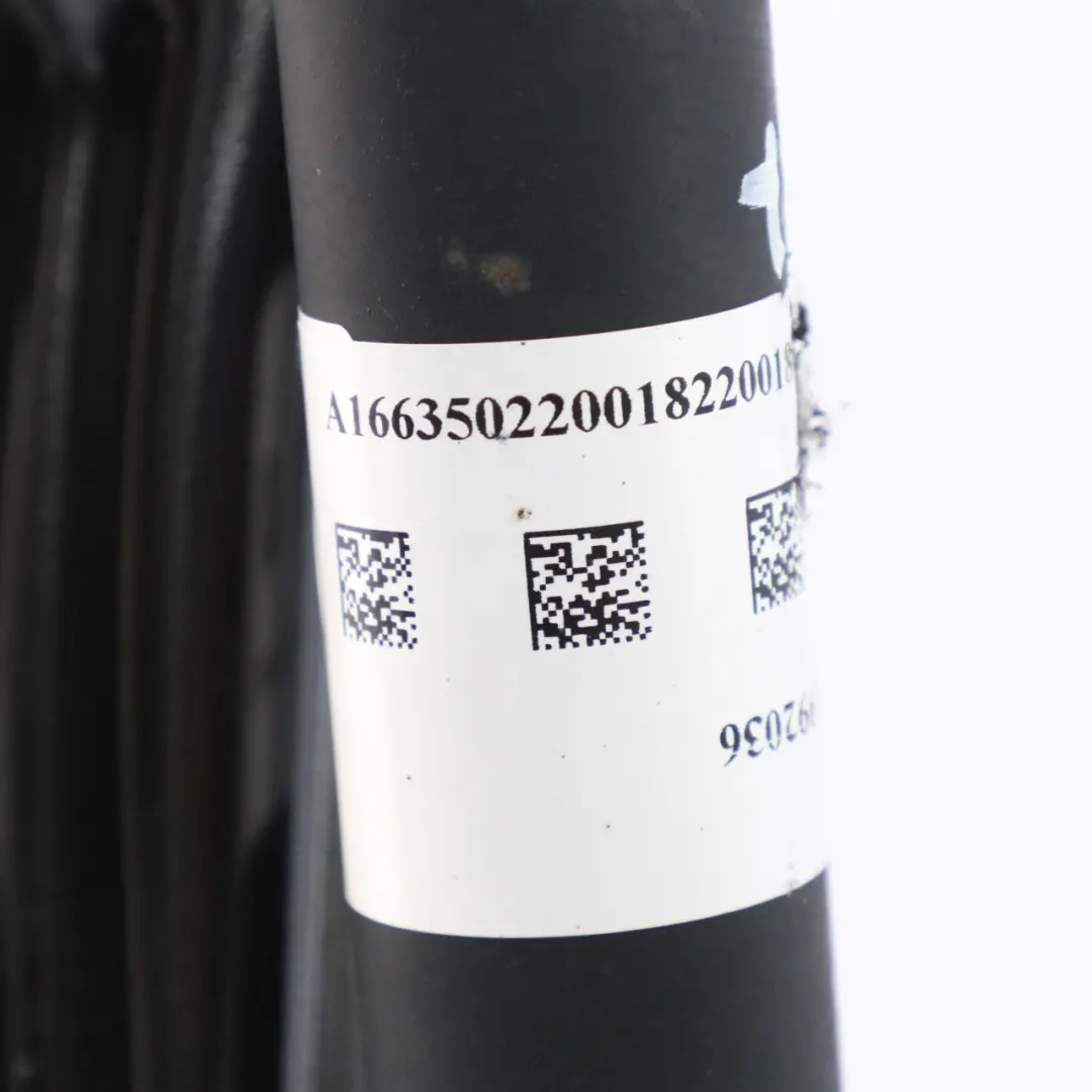 Mercedes C292 350 D posteriore destro sospensione gamba freno disco ruota mozzo - SKU A1663500208-3 - Numero di parte A1663500208