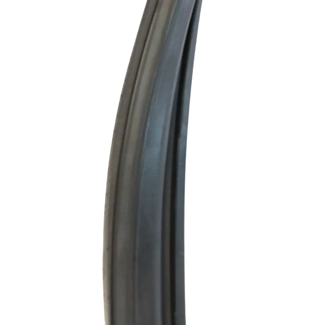 Mercedes W166 Rail ventana Guía puerta estanqueidad Trasera - SKU A1667350125 - Número de pieza A1667350125