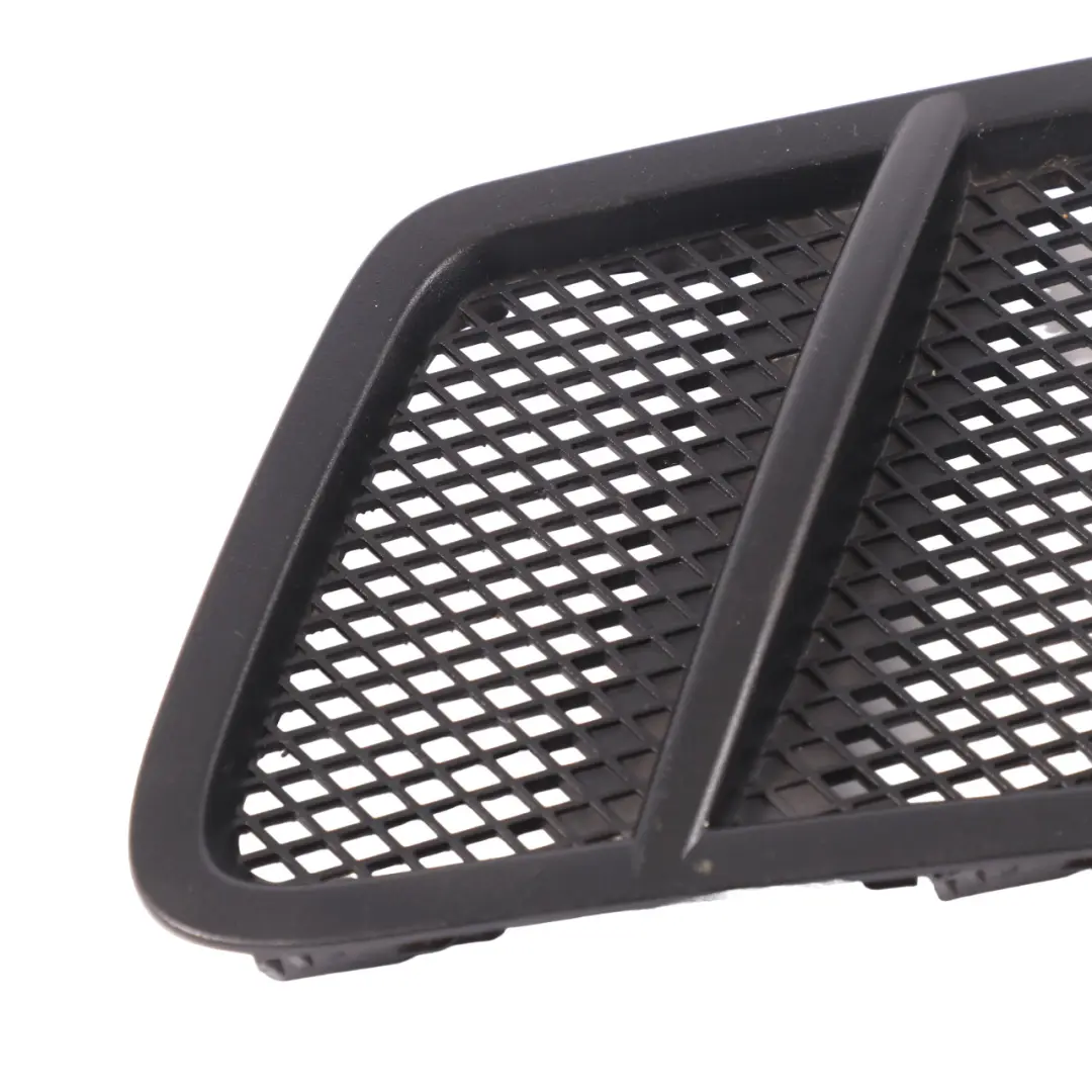 Grille de capot Mercedes GLE C292 ML W166 Cache entrée d'air gauche pour à propos du numéro de pièce A1668800105 Grille de capot Mercedes GLE C292 ML W166 Cache entrée d'air gauche - SKU A1668800105 - Numéro de pièce A1668800105