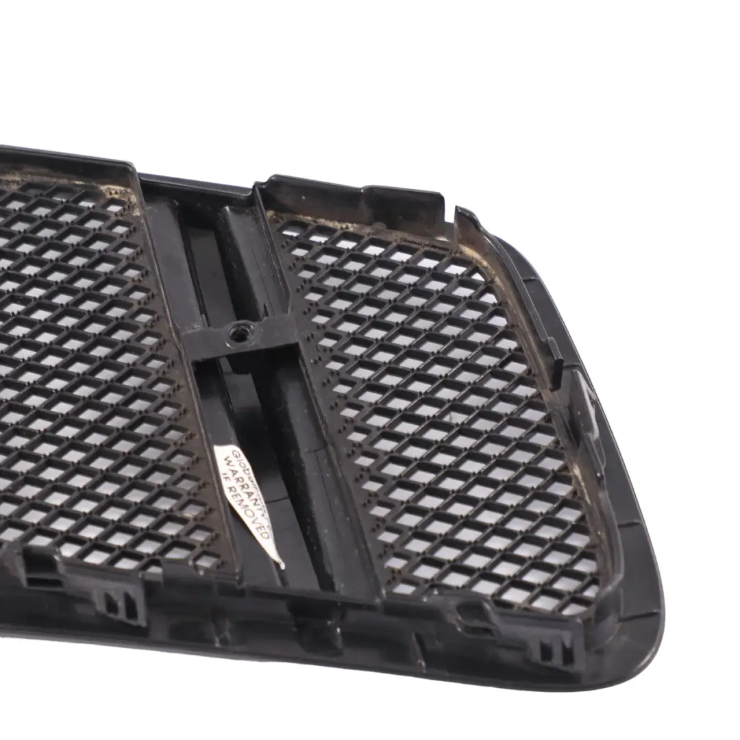 Bonnet Grille Mercedes GLE C292 ML W166 Hood Air Inlet Cover Left to with Part number A1668800105 Bonnet Grille Mercedes GLE C292 ML W166 Hood Air Inlet Cover Left - SKU A1668800105 - Part number A1668800105