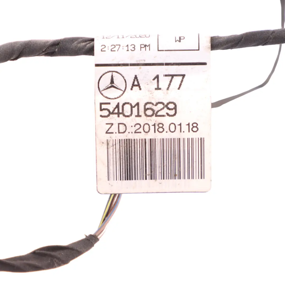 Mercedes W177 Parachoques trasero PDC Cableado Sensor aparcamiento - SKU A1775401629-1 - Número de pieza A1775401629
