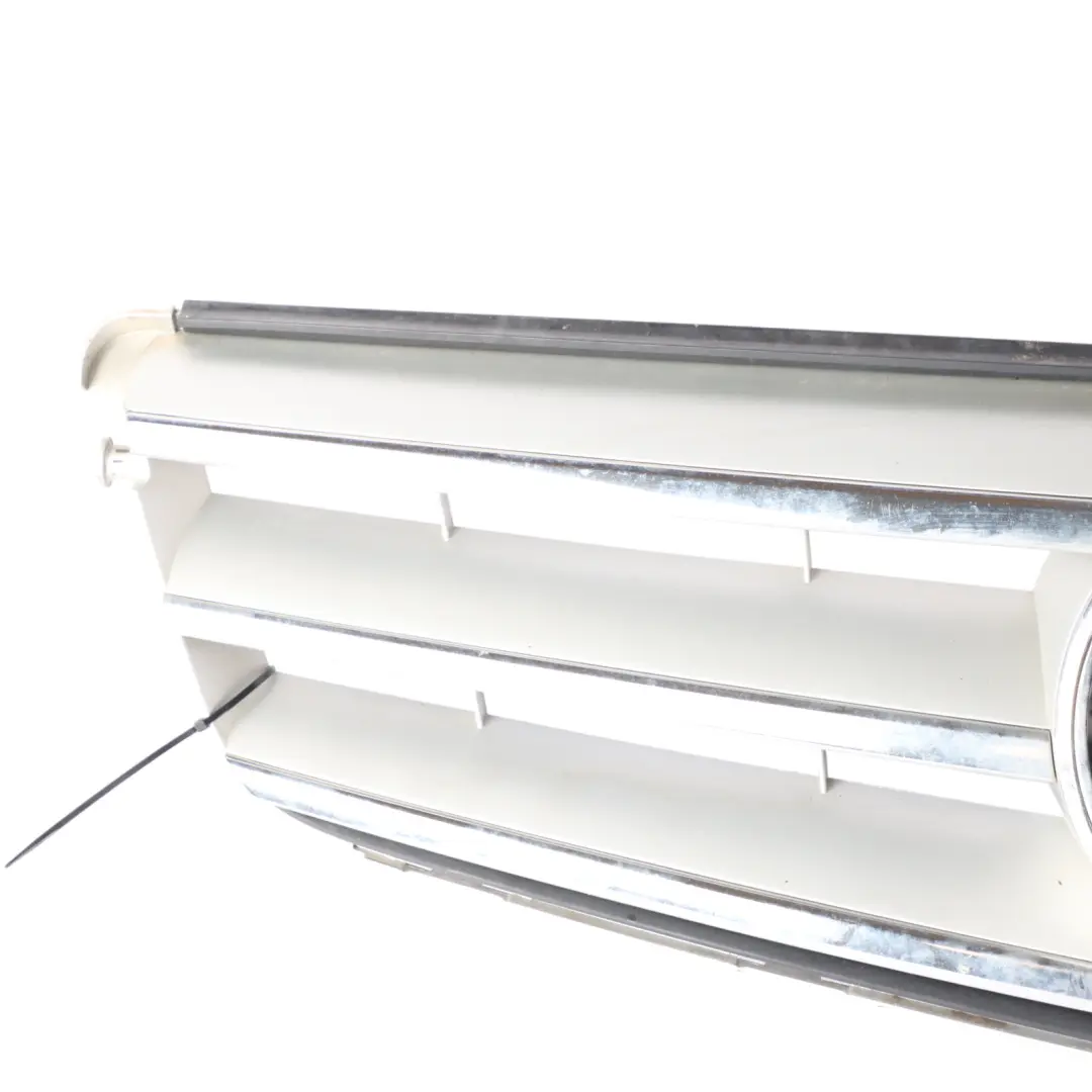 Mercedes C204 Hood Bonnet Grille Front Radiator Beam Trim Panel White Chrome - SKU A2048802083-2 - Part number A2048802083