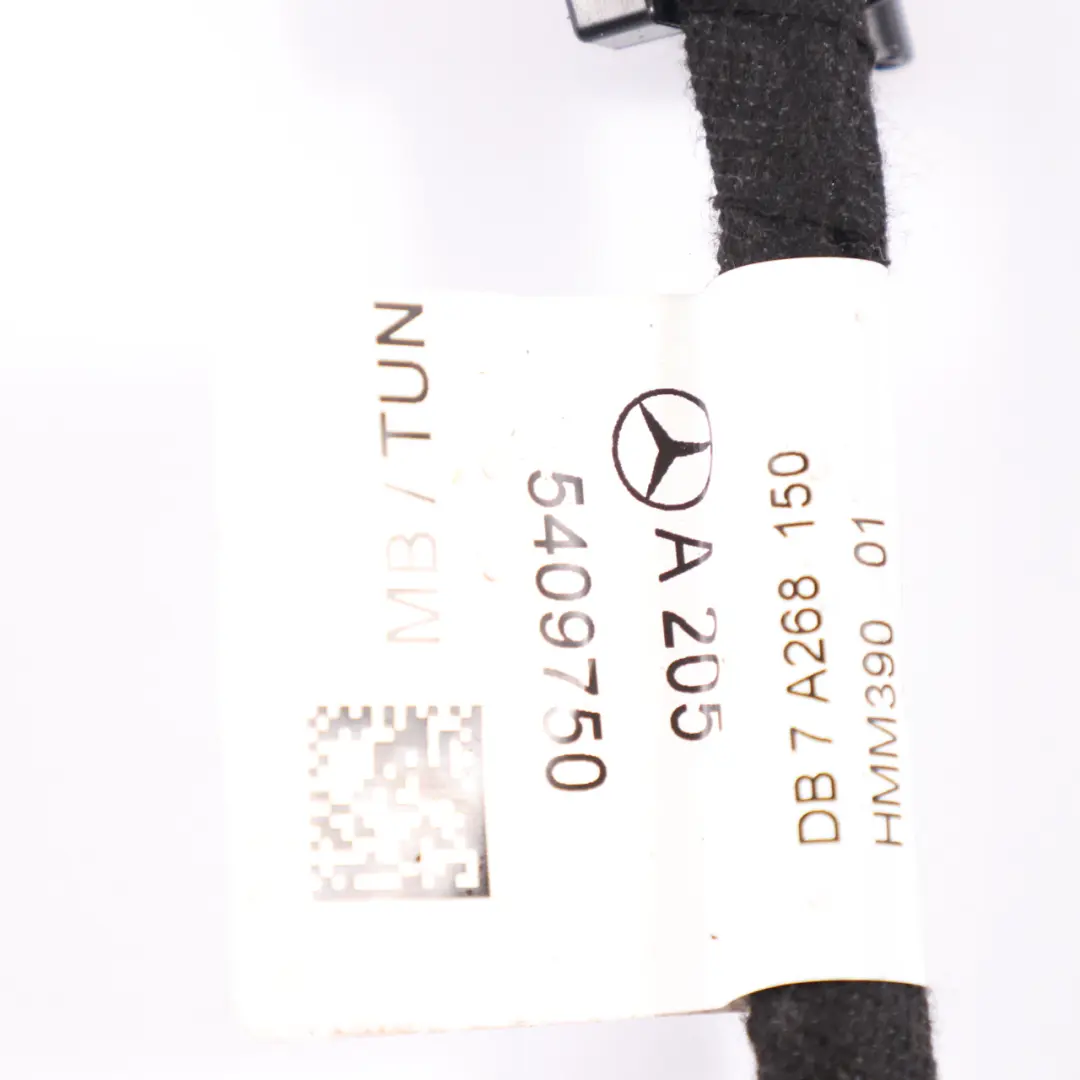 Kabelbaum Tür Mercedes W205 Tür Hinten Links Kabelbaum für mit Teilenummer A2055409750 Kabelbaum Tür Mercedes W205 Tür Hinten Links Kabelbaum - SKU A2055409750 - Teilenummer A2055409750