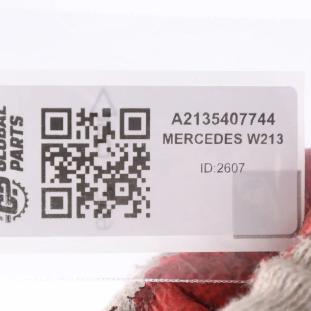 porta luce ambiente cavo cablaggio posteriore destro per Mercedes W213 con numero di parte A2135407744 Mercedes W213 porta luce ambiente cavo cablaggio posteriore destro - SKU A2135407744 - Numero di parte A2135407744