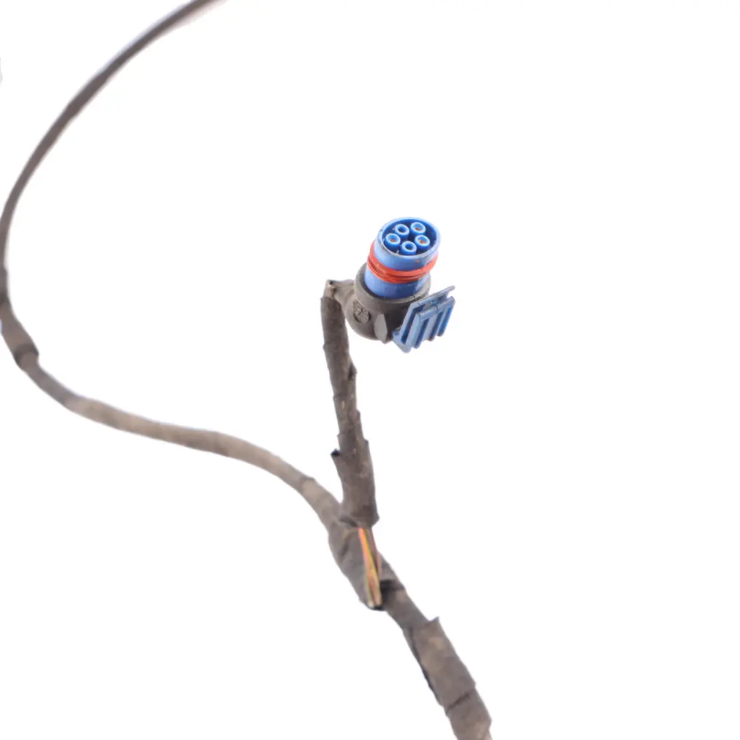 Mercedes C219 Coupé parachoques delantero aparcamiento PDC cables - SKU A2195404505 - Número de pieza A2195404505