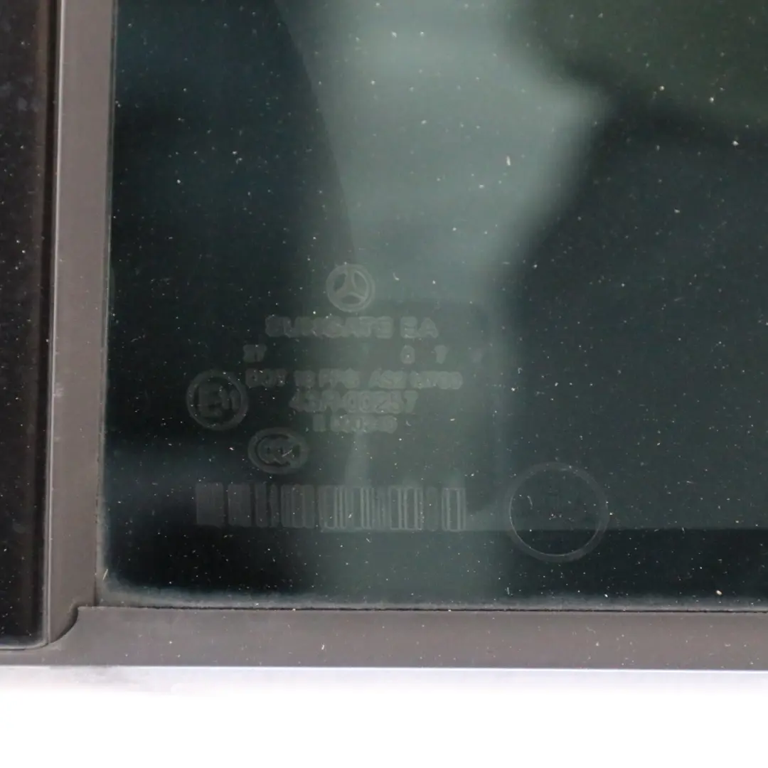 Mercedes W221 Long Rear Left Door N/S Door Covering Black Painted S-Class - SKU A2217300505-BLK - Part number A2217300505