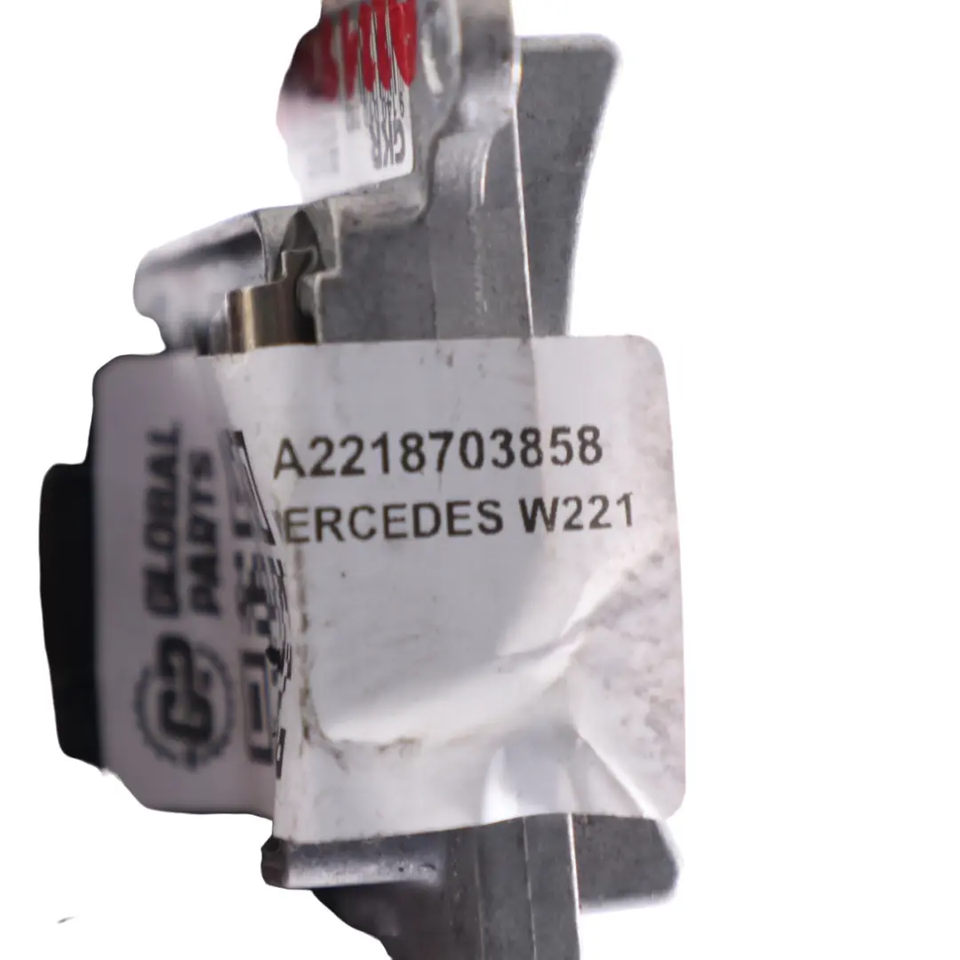 Mercedes W221 motore soffiatore riscaldatore ventilatore regolatore - SKU A2218703858 - Numero di parte A2218703858
