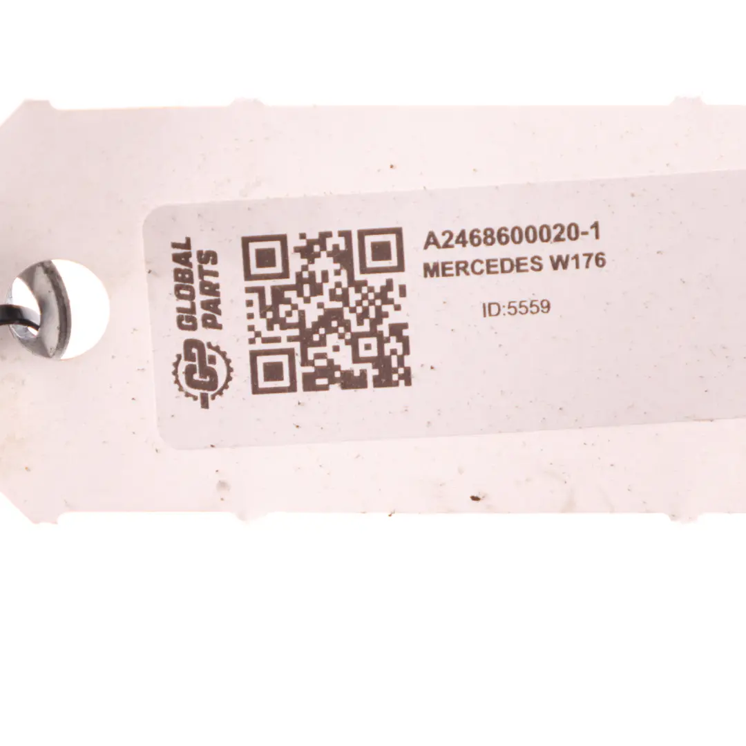 Mercedes W176 Bonnet Pressure Reservoir Tank Container Actuator A2468600200 - SKU A2468600020 - Part number A2468600020