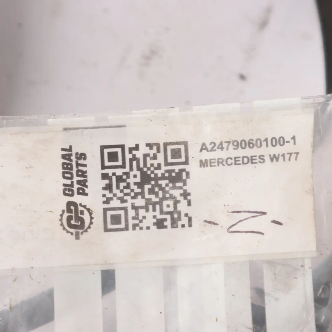 Radiator Fan Motor Mercedes W177 W247 OM608 Engine Cooling Fan to with Part number A2479060100 Radiator Fan Motor Mercedes W177 W247 OM608 Engine Cooling Fan - SKU A2479060100-1 - Part number A2479060100