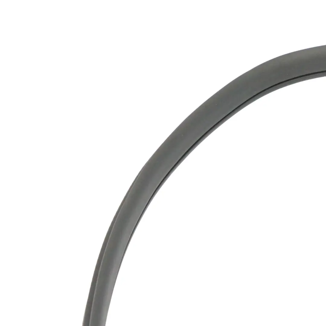 Mercedes GLE C292 Edge Guard Seal Rear Left Right N/O/S Sealing - SKU A2926970151 - Part number A2926970151