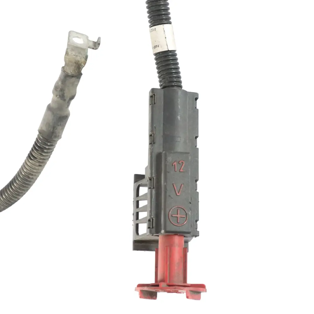 OM651 Batteria Cablaggio Cavo Loom per Mercedes Sprinter W906 con numero di parte A9065403815 Mercedes Sprinter W906 OM651 Batteria Cablaggio Cavo Loom - SKU A9065403815 - Numero di parte A9065403815