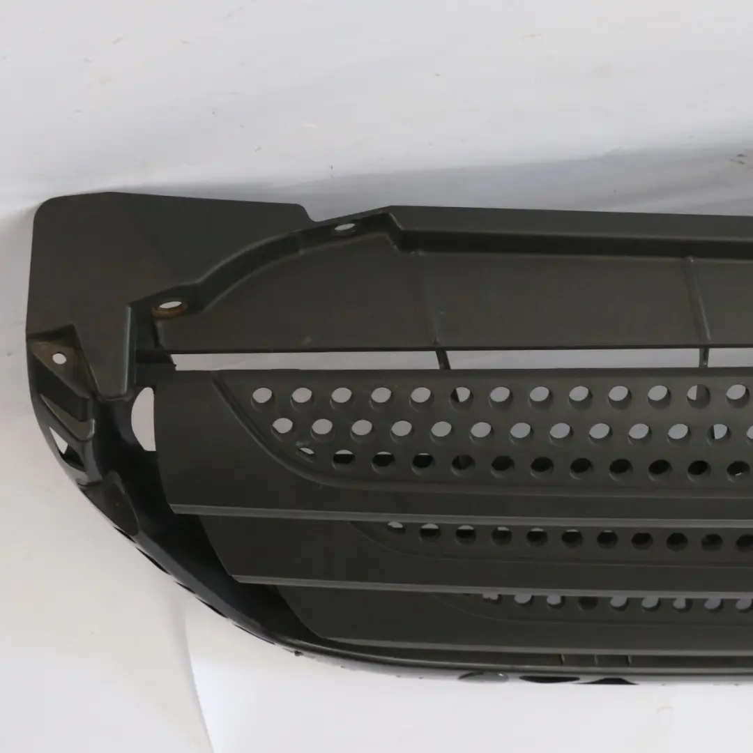 Front Grille Hood Radiator Covering Trim to Mercedes Sprinter W906 with Part number A9068880523 Mercedes Sprinter W906 Front Grille Hood Radiator Covering Trim - SKU A9068880523 - Part number A9068880523