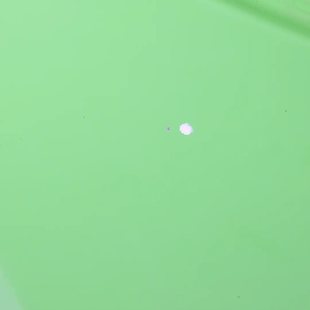 W907 Hood Bonnet Covering Leaf Green Light - 6339 to Mercedes Sprinter with Part number A9078806000 Mercedes Sprinter W907 Hood Bonnet Covering Leaf Green Light - 6339 - SKU A9078806000-LGR - Part number A9078806000