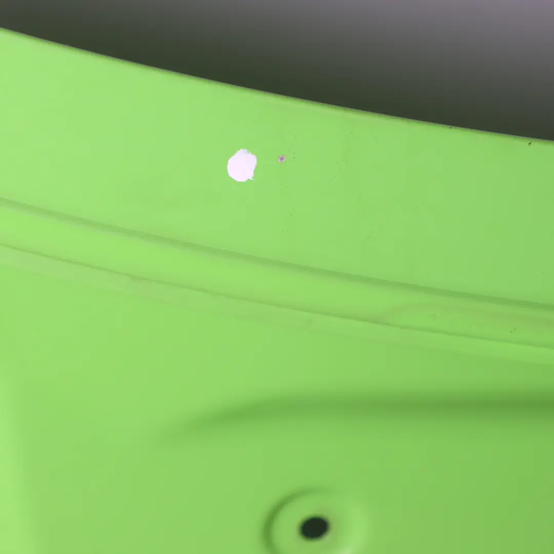 W907 Hood Bonnet Covering Leaf Green Light - 6339 to Mercedes Sprinter with Part number A9078806000 Mercedes Sprinter W907 Hood Bonnet Covering Leaf Green Light - 6339 - SKU A9078806000-LGR - Part number A9078806000