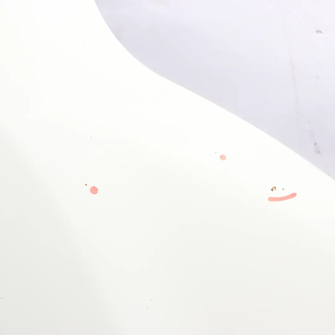 Ford Transit Mk8 Front Hood Bonnet Trim Covering Panel Frozen White - Z2 - SKU PBK31-A16612-BA-FW - Part number PBK31-A16612-BA-FW
