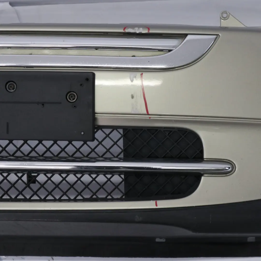 Front Bumper Complete Trim Panel Covering Sparkling Silver - A60 to Mini R50 R52 with Part number 0308997 Mini R50 R52 Front Bumper Complete Trim Panel Covering Sparkling Silver - A60 - SKU 0308997-SS - Part number 0308997