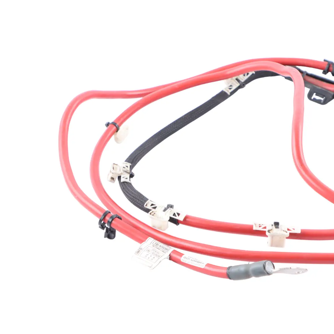 Faisceau Câbles Chargeur Batterie Haute Tension pour BMW F45 F46 à propos du numéro de pièce 6803329 BMW F45 F46 Faisceau Câbles Chargeur Batterie Haute Tension - SKU 6803329 - Numéro de pièce 6803329