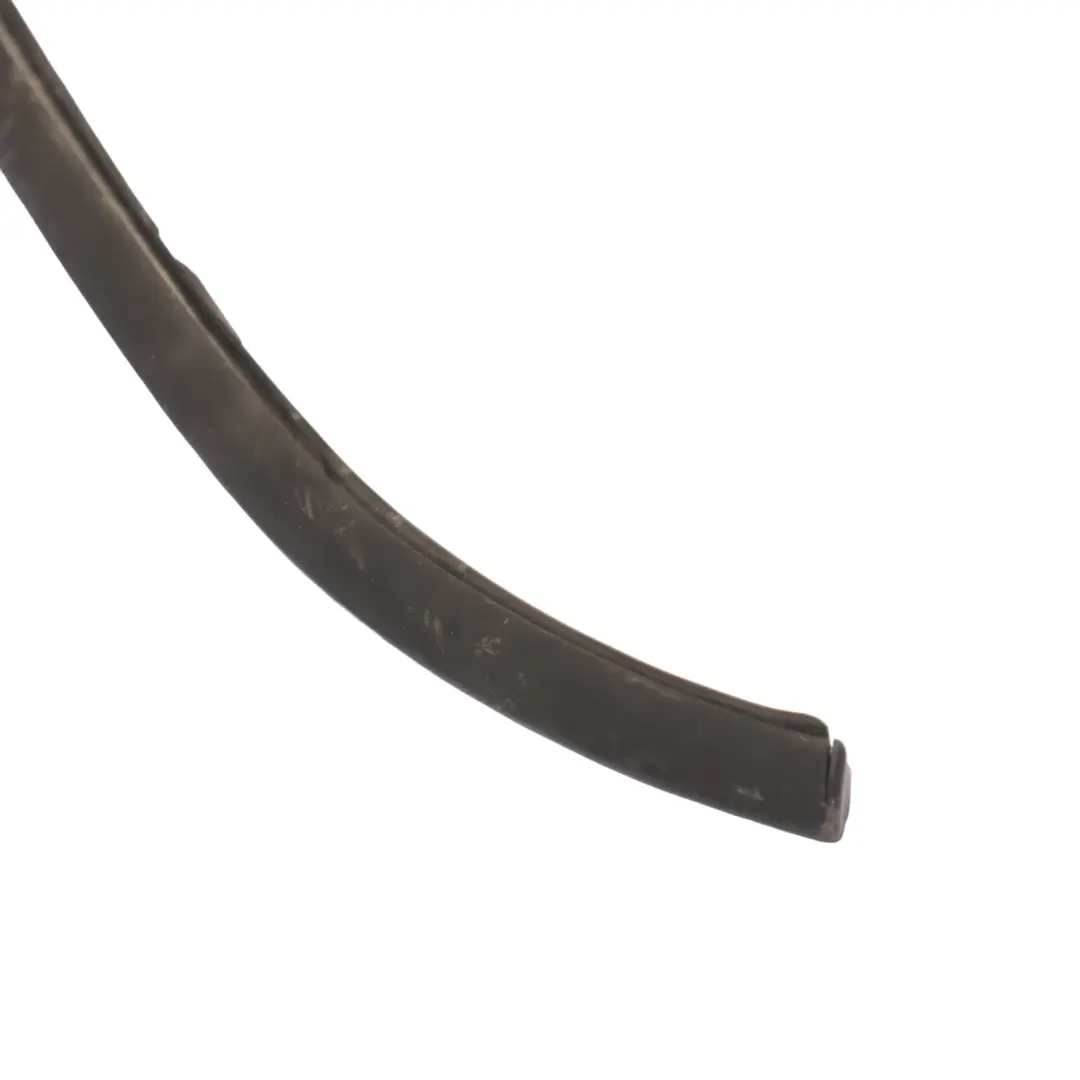 Moldura Techo Negro Izquierda para Mini Cooper One R50 con número de pieza 7112079 Mini Cooper One R50 Moldura Techo Negro Izquierda - SKU 7112079-2 - Número de pieza 7112079