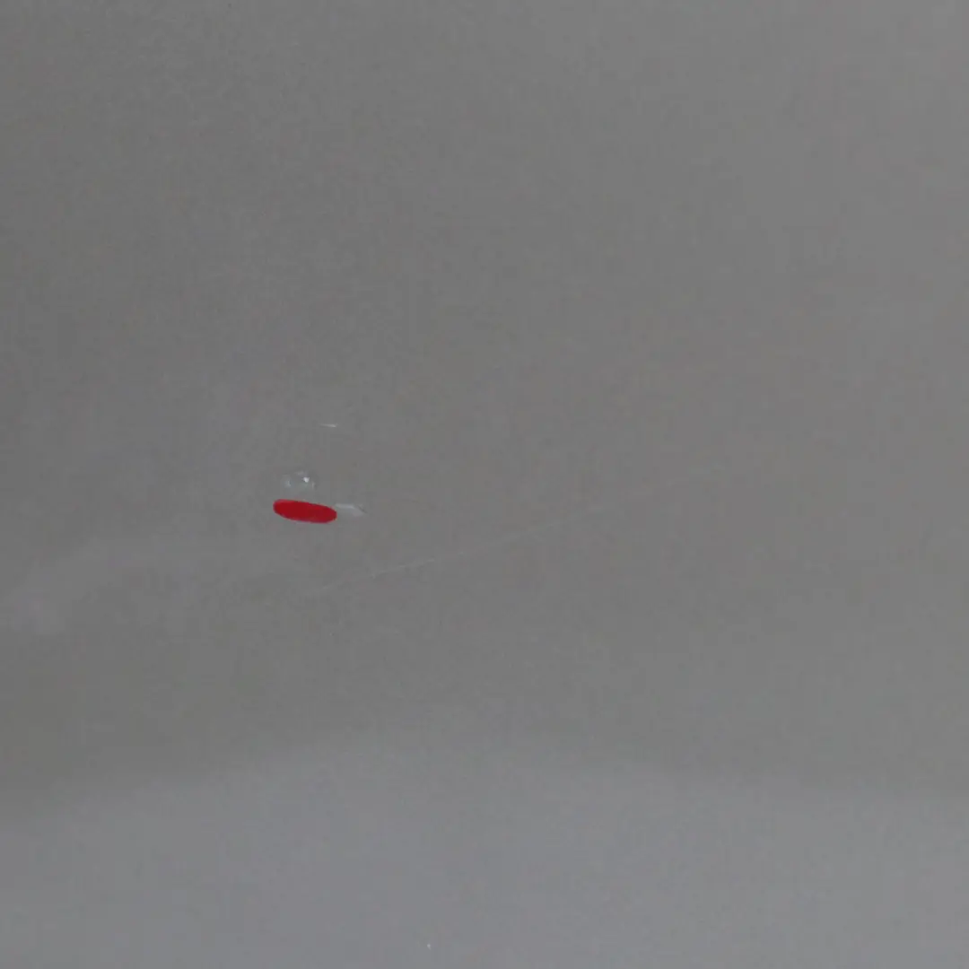  Vordertür Mini R50 R52 R53 Cooper Links Sparkling Silver Metallic - A60 - SKU 7202911-SS - Teilenummer 7202911