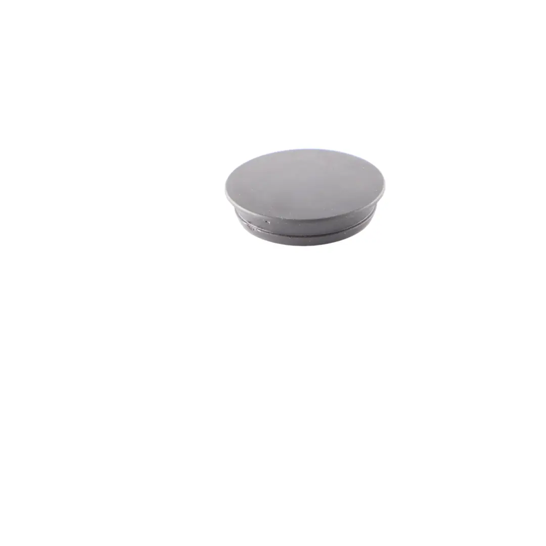 BMW F31 Touring Rear Boot Tailgate Trunk Lid Covering Trim Panel Plug - SKU 7270047 - Part number 7270047