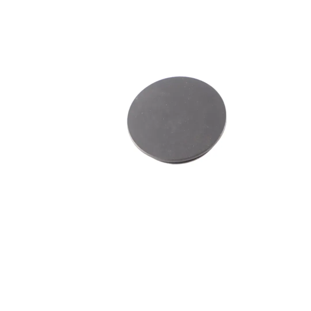 BMW F31 Touring Rear Boot Tailgate Trunk Lid Covering Trim Panel Plug - SKU 7270047 - Part number 7270047
