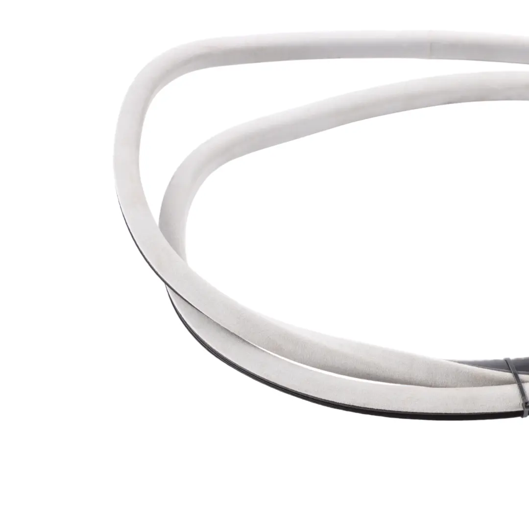  Roof Gasket BMW F20 F26 F30 F36 Sliding Lifting Sun Roof Sealing Gasket Grey - SKU 7344553-1 - Part number 7344553