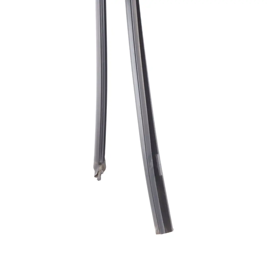 BMW G20 Finestrino Guida Guarnizione Pannello Porta Posteriore Sinistra - SKU 7407405 - Numero di parte 7407405