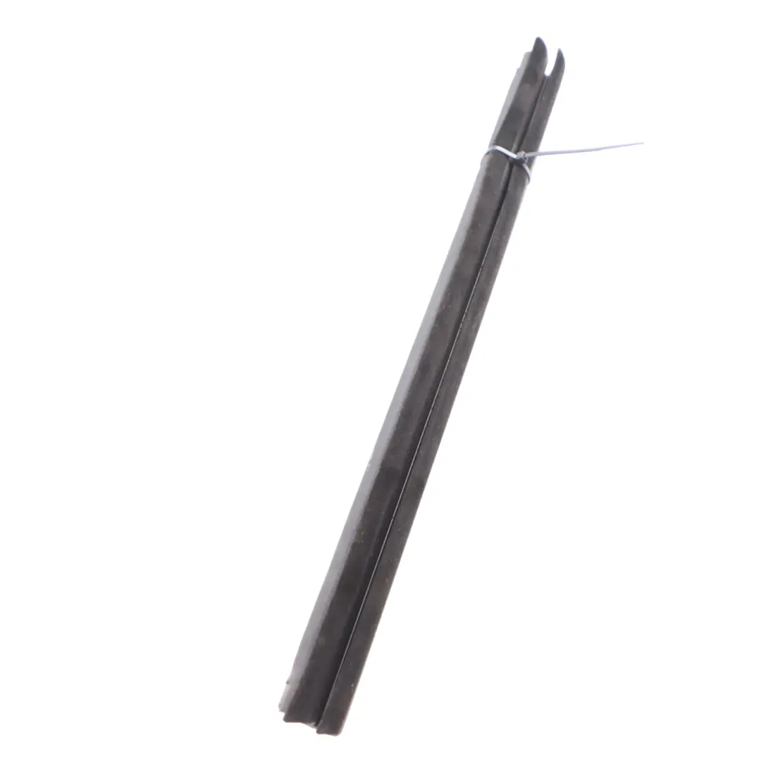 BMW G20 G21 Guarnizione Finestra Porta Anteriore Destra - SKU 7407420 - Numero di parte 7407420