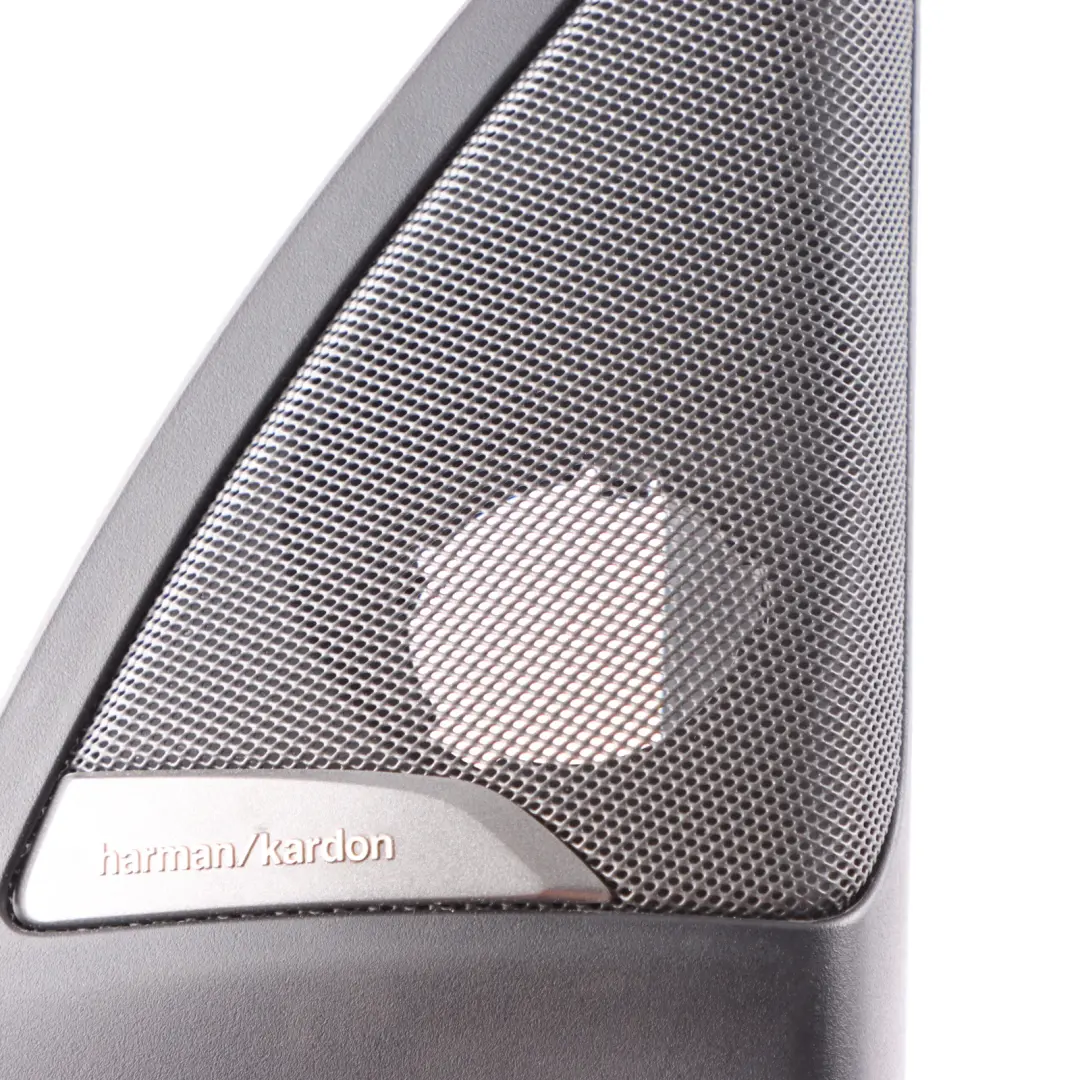 Embellecedor Puerta BMW X3 G01 X3M F97 Delantero Derecho Altavoz ALEV3 Harman para con número de pieza 7419328 Embellecedor Puerta BMW X3 G01 X3M F97 Delantero Derecho Altavoz ALEV3 Harman - SKU 7419328 - Número de pieza 7419328